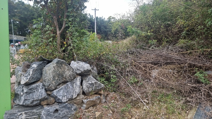 [본건 남서측 진입도로 일부 전경]