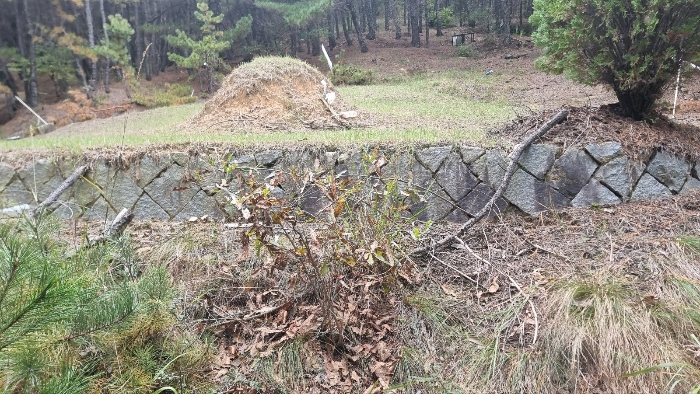 [분묘전경(기호(1) 소재)]