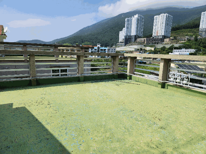 본건 건물 옥상