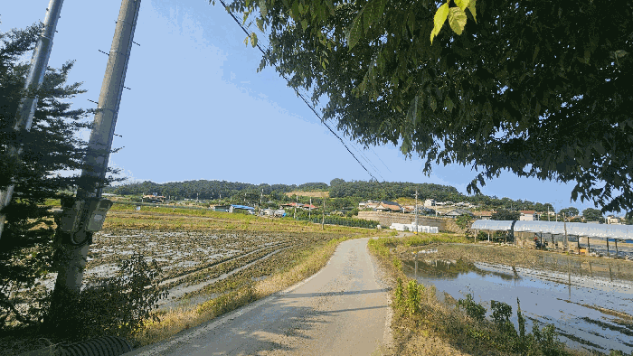 본건 주변환경_