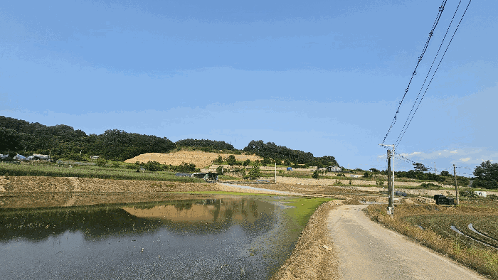 본건 주변환경_