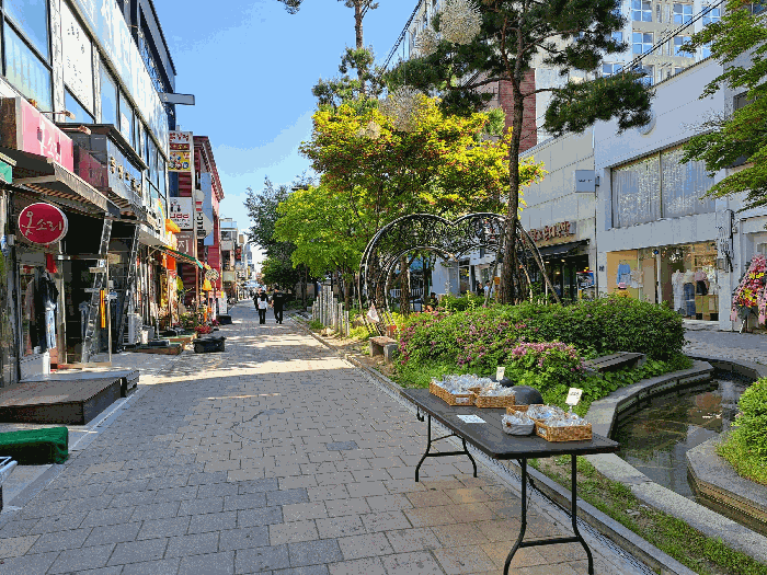 대상물건 서측 도로 및 주위환경