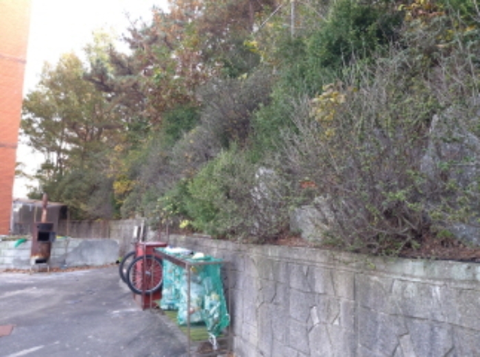 * 본건 목적물 3. 전경