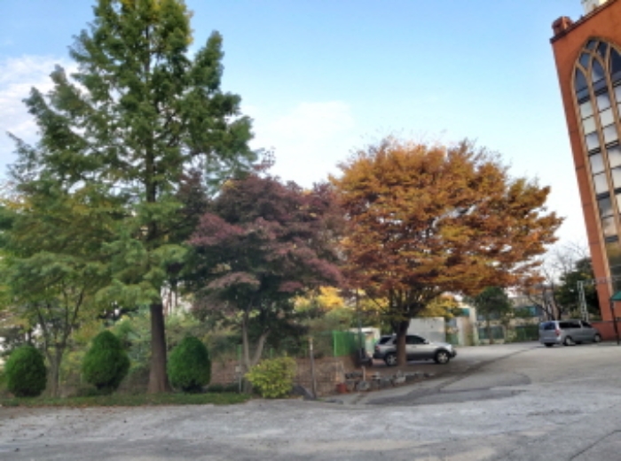 * 본건 목적물 2. 지상 관상수 전경