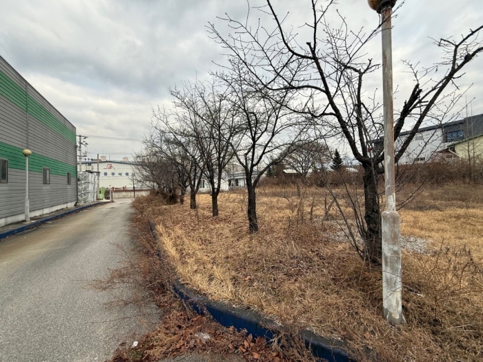 기호(1) 지상위 조경수