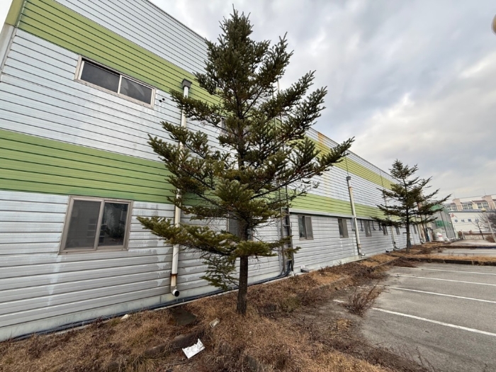 기호(1) 지상위 조경수