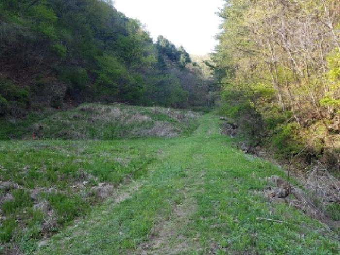 제시부동산 목록5번 잡종지부분