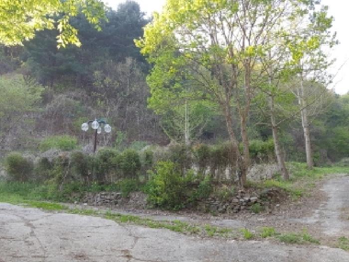 제시부동산 목록5,6,전경1