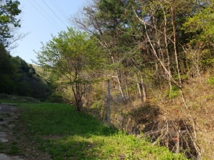 제시부동산 목록5,6,전경3