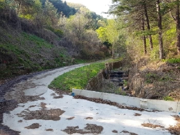 제시부동산 목록5번 진입로,구거부분