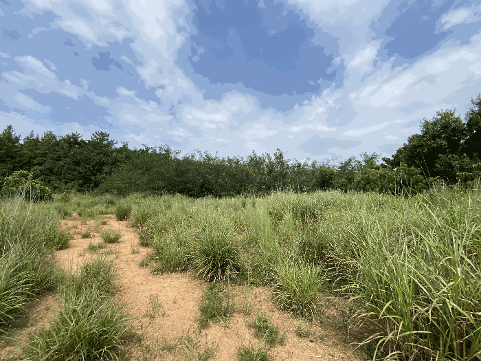일련번호 1)