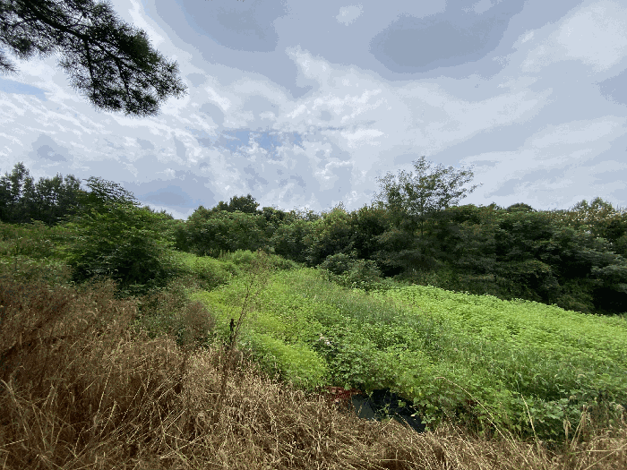 일련번호 5)