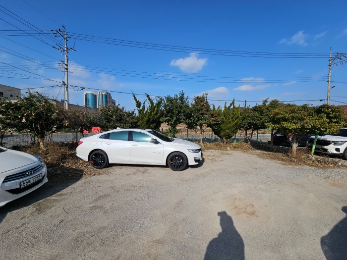 기호 1) 지상 위 수목