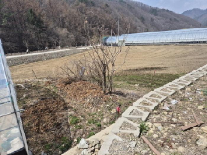 목록1. 토지(답) 전경(5)