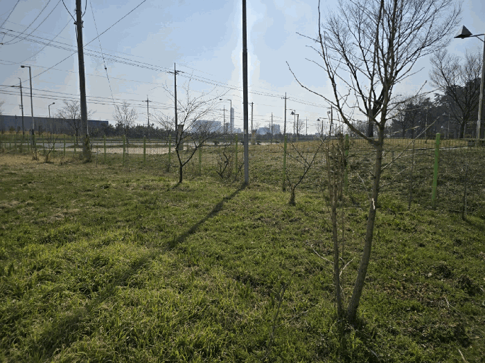 울타리, 조경수 전경