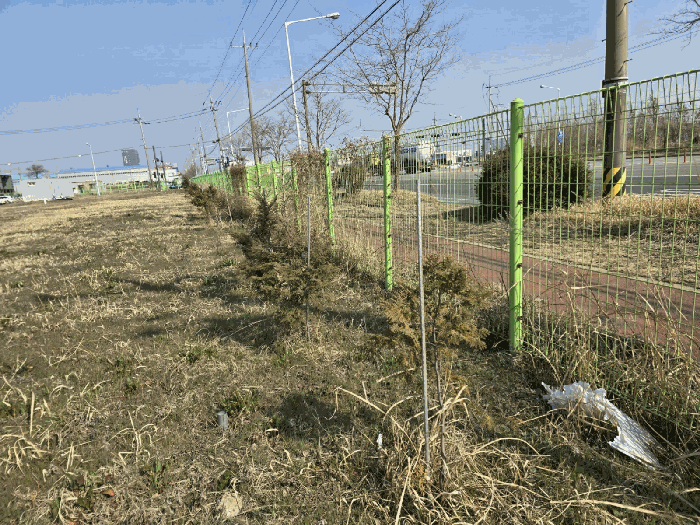 울타리, 조경수 전경