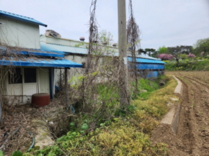 부동산표시 제4호, 제5호