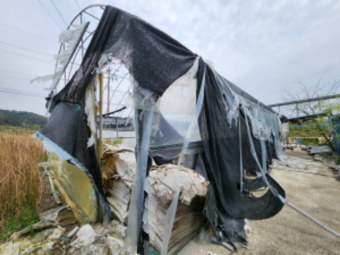 부동산표시 제8호 제시외 비닐하우스