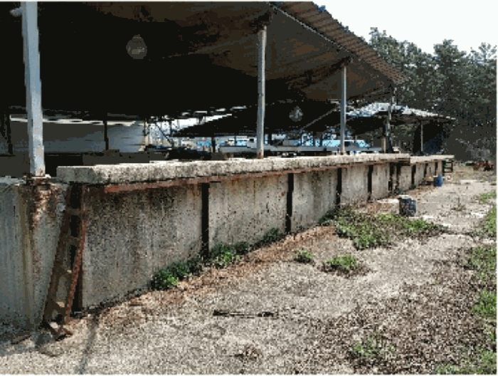 구축물 기호(2,4)