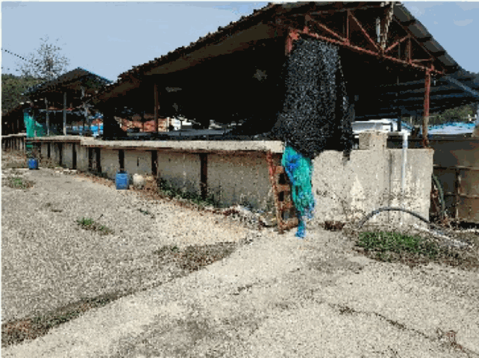 구축물 기호(2,4)