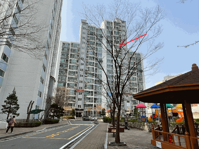 본건 소재 건물 남측에서 촬영