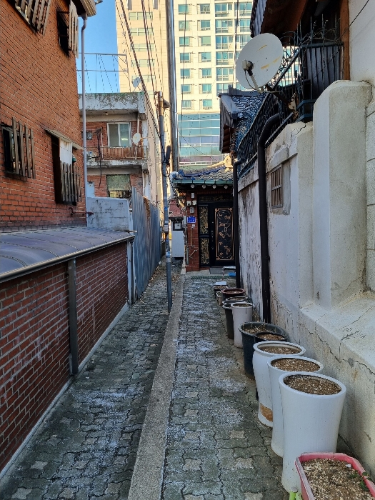 본건 토지 전경(자루형 부분)