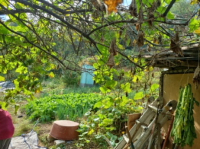 1목록 전경(농막 및 야외간이화장실)