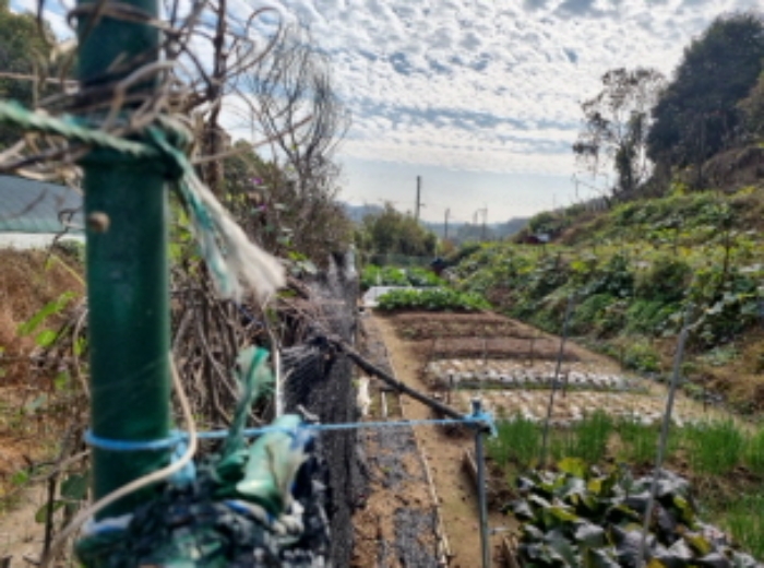 1목록 전경(경계 울타리 및 경사면)