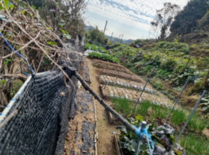 1목록 전경(경계 울타리 및 경사면 잡목)