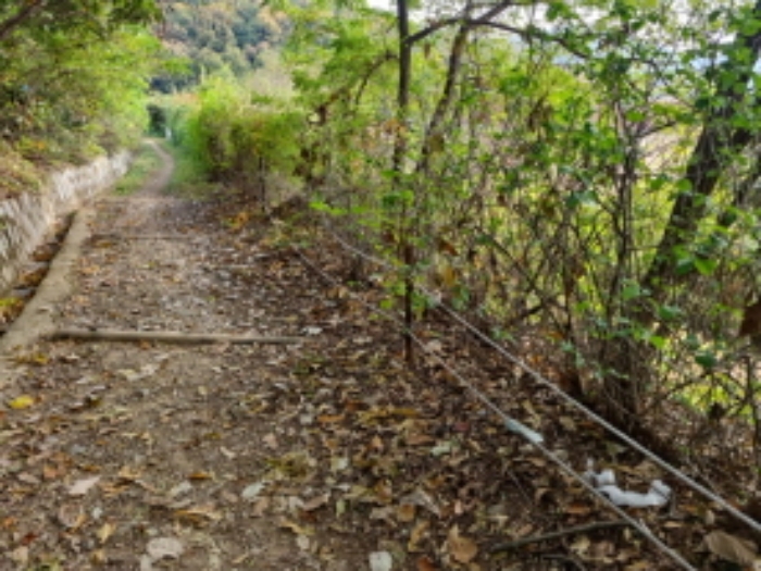 1목록 경계 울타리 및 잡목