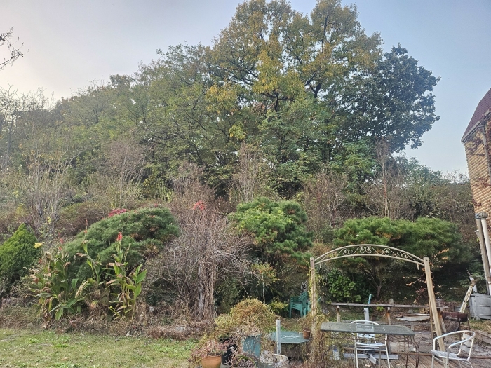 기호1(제시외수목)