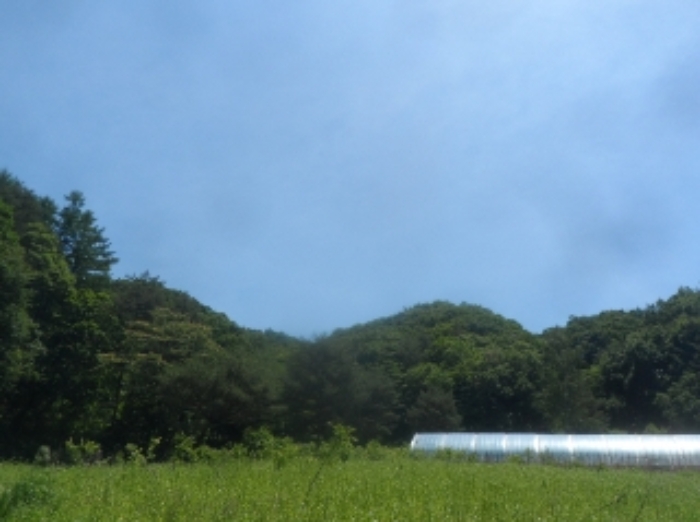 본건 근거리에서 촬영한 것임