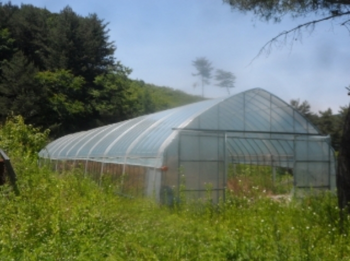 기호 28,60번 양 지상에 소재하는 것으로 보이는 제시외 비닐하우스