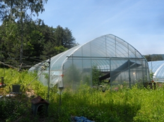 기호 30,60번 양 지상에 소재하는 것으로 보이는 제시외 비닐하우스