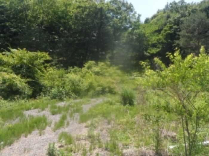 본건 근거리에서 촬영한 것임