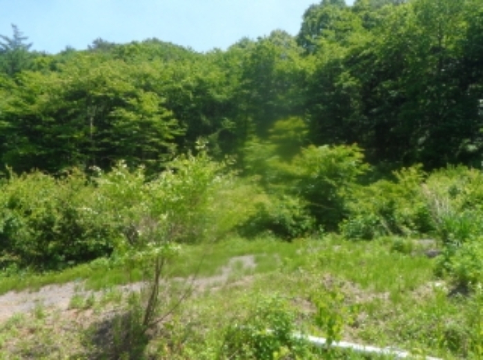 본건 근거리에서 촬영한 것임