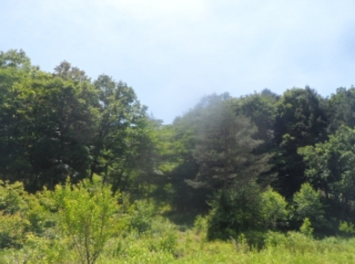 본건 근거리에서 촬영한 것임