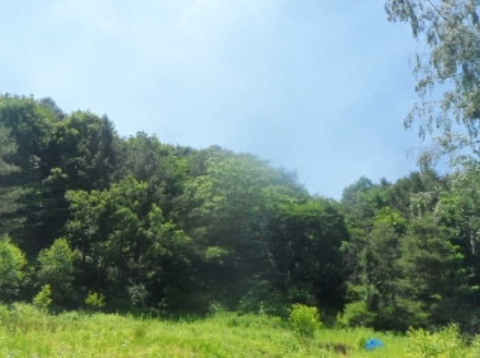 본건 근거리에서 촬영한 것임