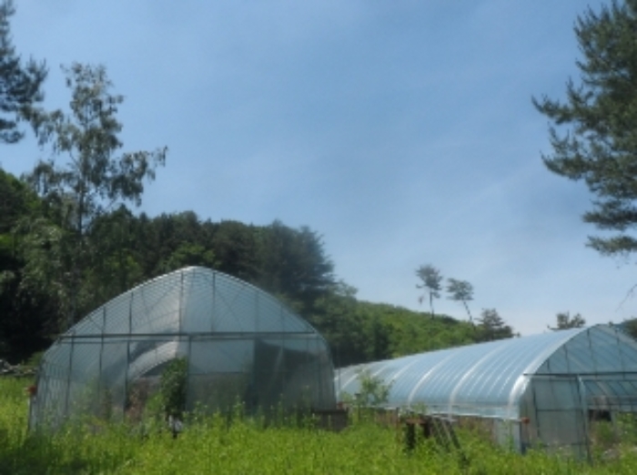 본건 근거리에서 촬영한 것임