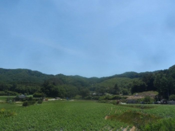 본건 원거리에서 촬영한 것임