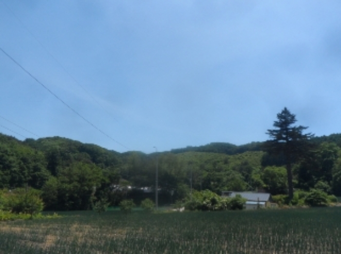 본건 원거리에서 촬영한 것임