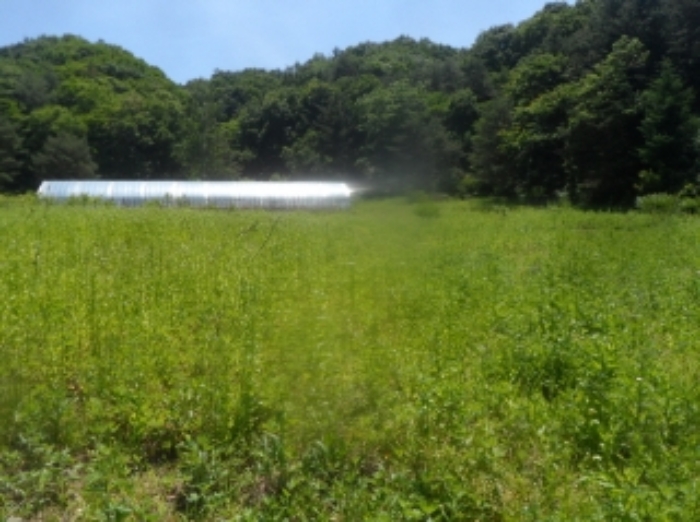 본건 근거리에서 촬영한 것임