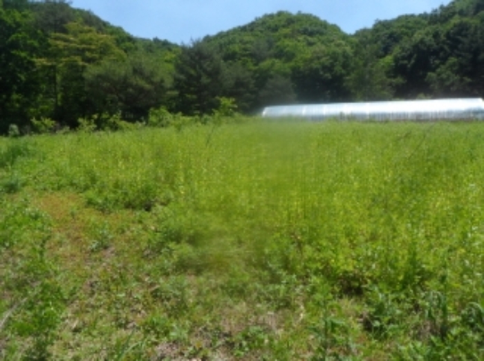 본건 근거리에서 촬영한 것임