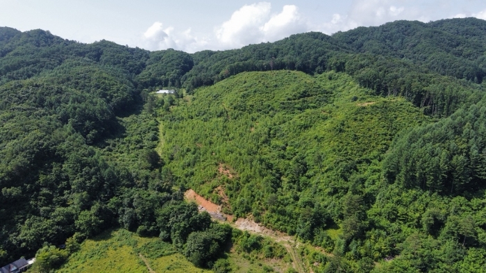 본건 북측 전경