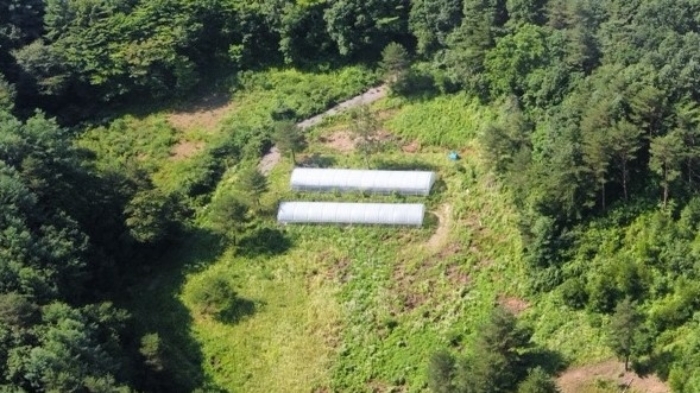 본건 기호 (28,30,53,59,60) 제시외 비닐하우스