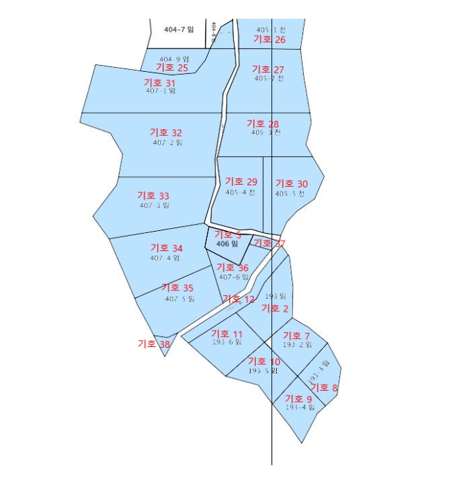 지적 및 건물개황도