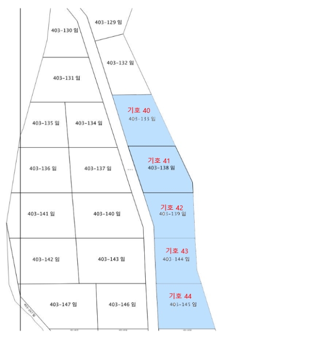 지적 및 건물개황도