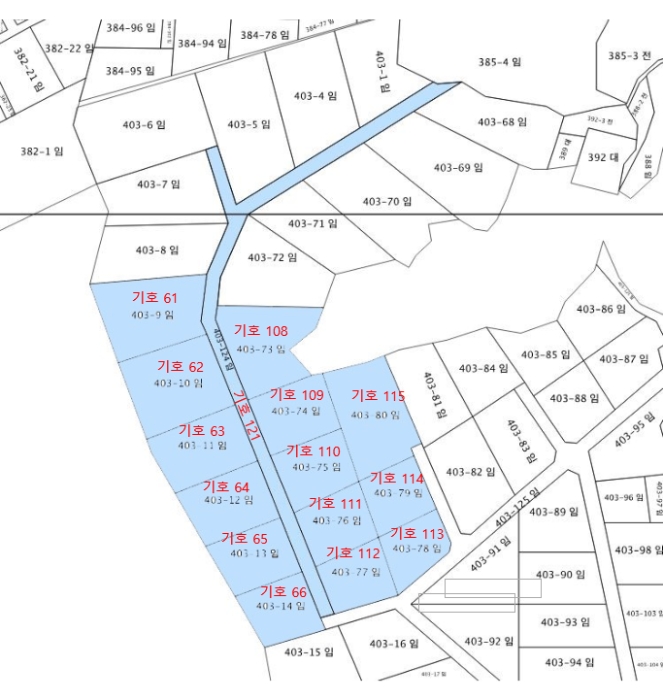 지적 및 건물개황도