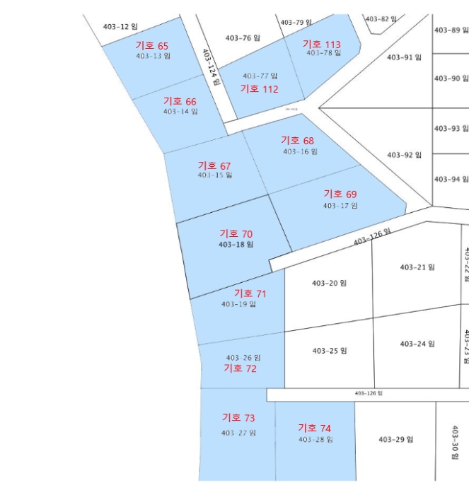 지적 및 건물개황도