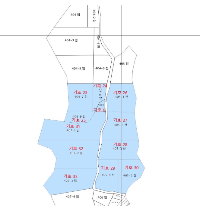 지적 및 건물개황도